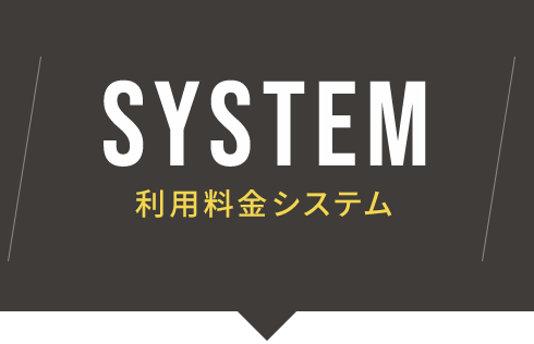 SYSTEM